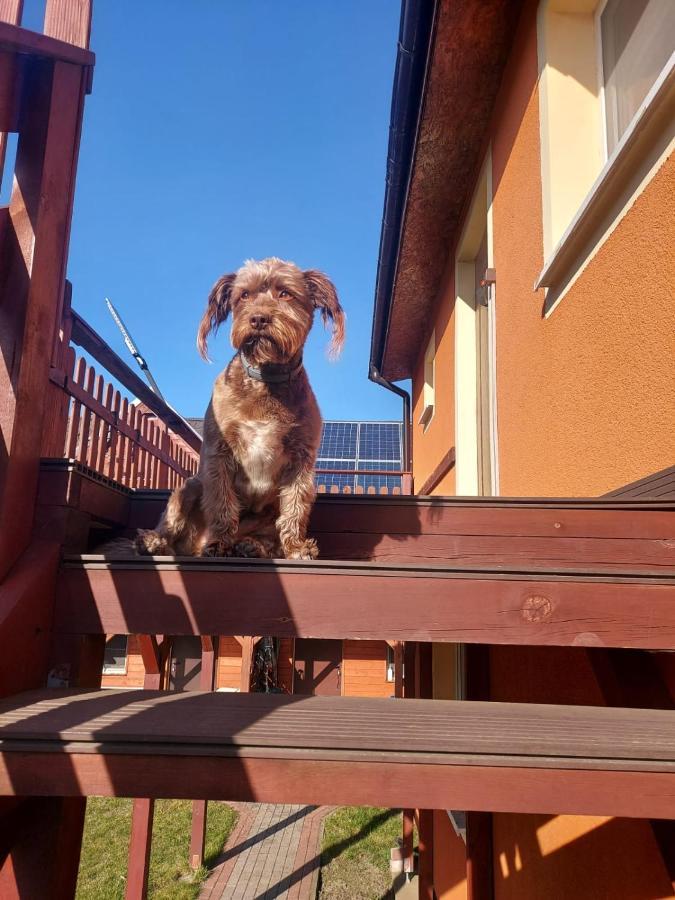 Siedlisko Na Zaciszu Apartamenty Kąty Rybackie Kültér fotó